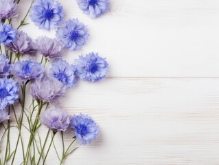 Beautiful silver cornflower flowers on a white wooden background, in a top view with copy space for text