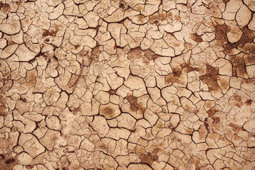 Cracked dry earth mud as texture
