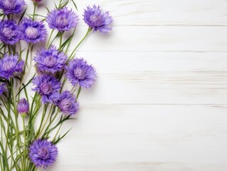 Beautiful violet cornflower flowers on a white wooden background, in a top view with copy space for text