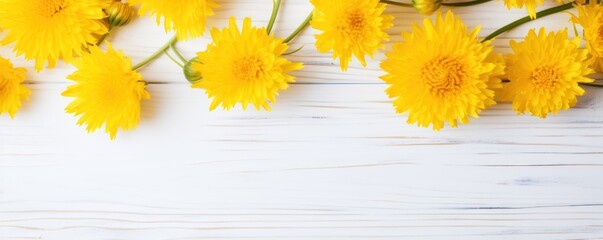Beautiful yellow cornflower flowers on a white wooden background, in a top view with copy space for text