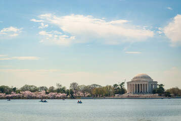 Fototapeta premium The Tidal Basin on the Mall at the National Cherry Blossom Festival in Washington D.C.