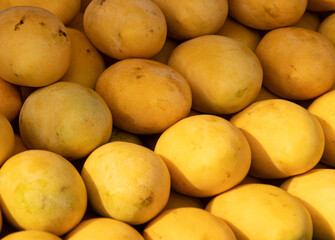 yellow mango fruit as background.