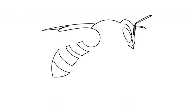 Self drawing animation of one continuous line draw bee insect. Animated single line wasp logo.