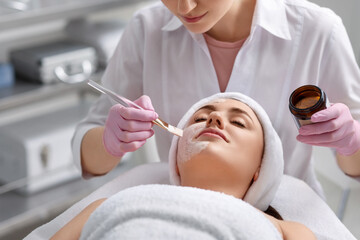 Fototapeta na wymiar Cosmetologist applying mask on woman's face in clinic, closeup