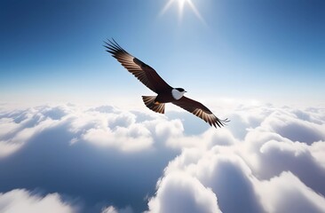Fototapeta premium A bird soaring high above the clouds 