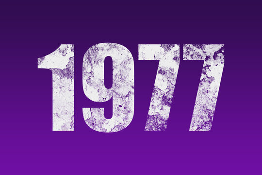 flat white grunge number of 1977 on purple background.