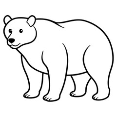 polar bear vector illustration