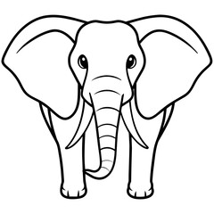 elephant vector illustration