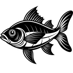 fish illustration vector