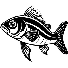 black and white fish