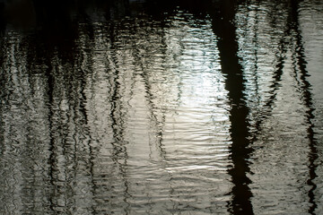Reflection in a water.