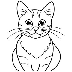 cat vector