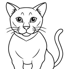 illustration of cat