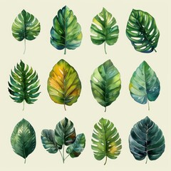 This watercolor illustration depicts a tropical leaves botanical set.