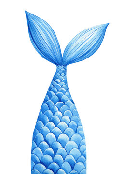 recommend clip art: Blue Mermaid's tail on isolated white background, watercolor hand-drawing painting illustration. Summer Sea Mermaid