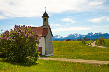 Kapelle vor gelb blühender Wiese im Alpenvorland mit schnebedeckten bergen