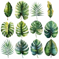 Hand-painted watercolor set with tropical green leaves on white background