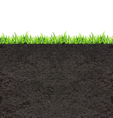 Environmental and conservation protection background. Cross section of grass and soil. Side view of...