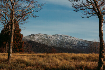 Snow-Dusted Mountain Peak Framed by Bare Trees
