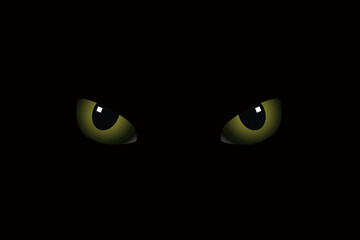 Green eyes cat in the darkness, black background