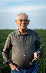 Portrait of senior farmer standing in wheat field looking at camera.