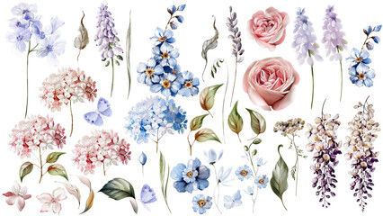 Watercolor set with, hydrangea, roses flowers, muscari, wisteria and leaves. - 785114013