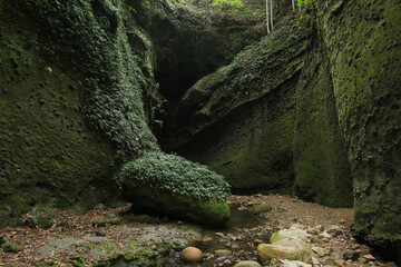 高知県安芸市　伊尾木洞の風景
