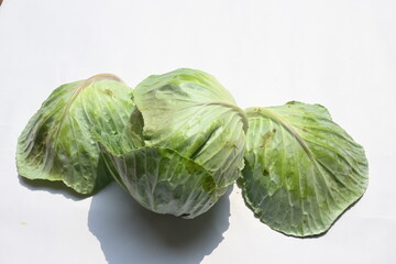 Cabbage vegetable white background. It is a leafy green, red, or white  biennial plant grown as an annual vegetable crop for its dense leaved heads. It is a most popular leafy vegetable.