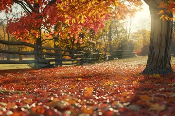  A beautiful autumn scene with a tree in the foreground © Irfanan
