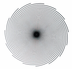 Black hole spiral shape
