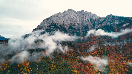 Cloudcovered mountain with treefilled slopes seen from above