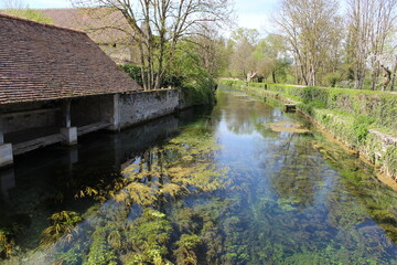Fototapeta na wymiar Villecomte (Côte-d'Or) : algues devant l'ancien lavoir