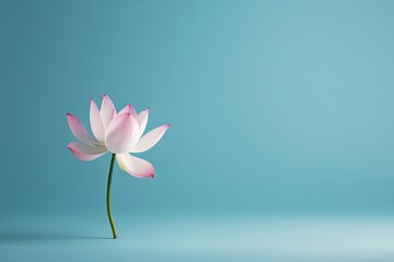 A single pink lotus flower floating on water against a blue background