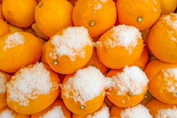 Close-up of pile of yellow lemons under snowflakes in street market