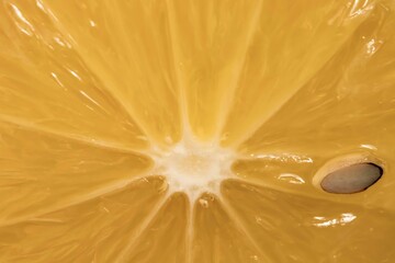 Closeup of lemon slice