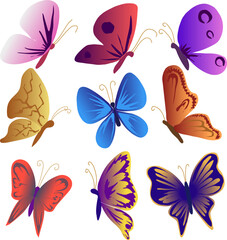 Set of beautiful colored butterflies of different shapes vector illustration. 