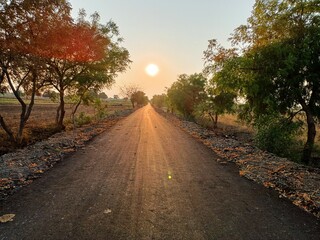 Fototapeta na wymiar road in autumn sunset 