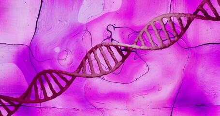 Rotating red dna strand over distorting liquid purple background