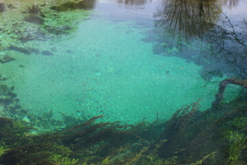 Villecomte (Côte-d'Or) : le Creux Bleu (résurgence)