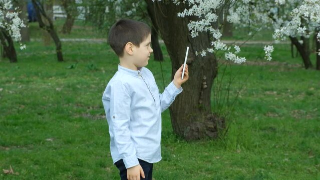 Boy taking pictures and filming on smartphone cherry blossom tree.