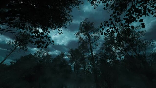 The power and might of nature. The camera moves through the dark forest. Flashes of lightning.