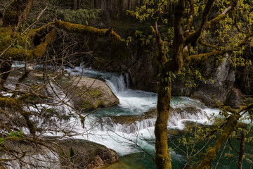 Fototapeta na wymiar Beautiful Naked Falls on Washougal River, Washington, captured at in spring time