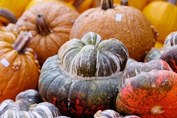 Group of orange pumpkins on the street