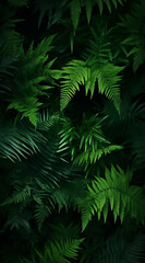 Fototapeta na wymiar leaves of green fern background. Natural concept.