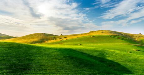 sceniv view at a nice farm in green fields in hills and highlands, landscape of spring green hills with mountain bright sunset on backdrop