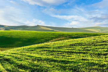 Fototapeta na wymiar green field in countryside farm at sunset in evening light. beautiful spring landscape in hills. grassy field and hill. rural scenery