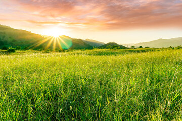 summer of spring landscape of green grass meadow with great beautiful mountains and awersome golden...