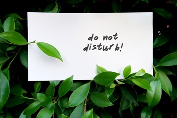A white paper note in the tree bush , with text written DO NOT DISTURB! Concept of refrain from...