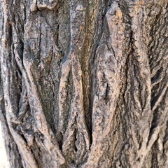 texture