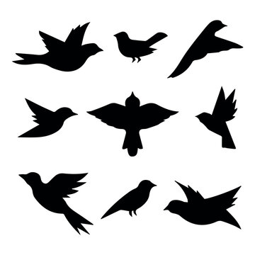 set of birds 5 icon and vector design five vector 